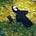 sofoniyas.'s avatar