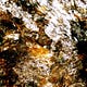 The Dreams, the Gyres