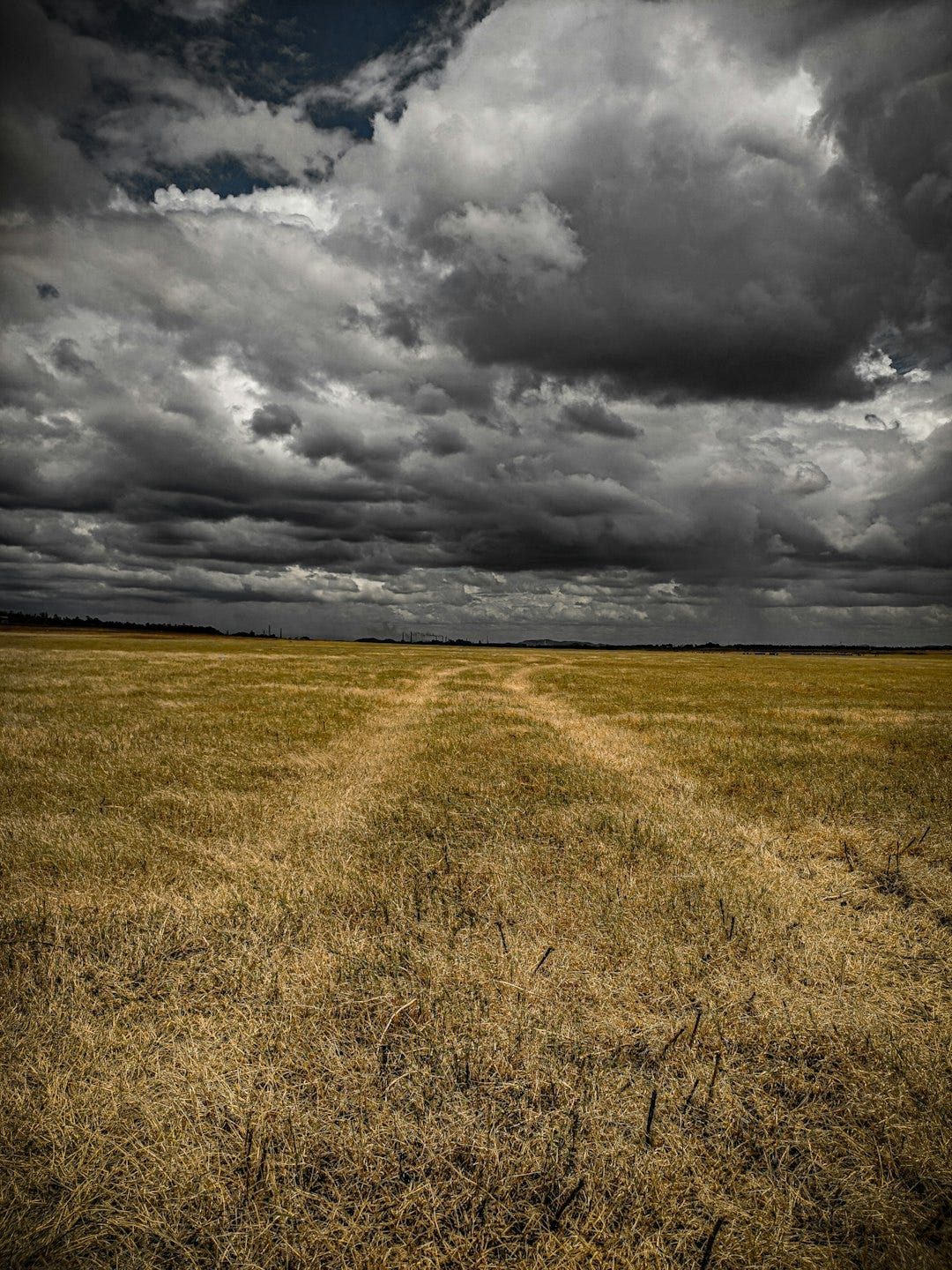 brown field during daytime brown field during daytime