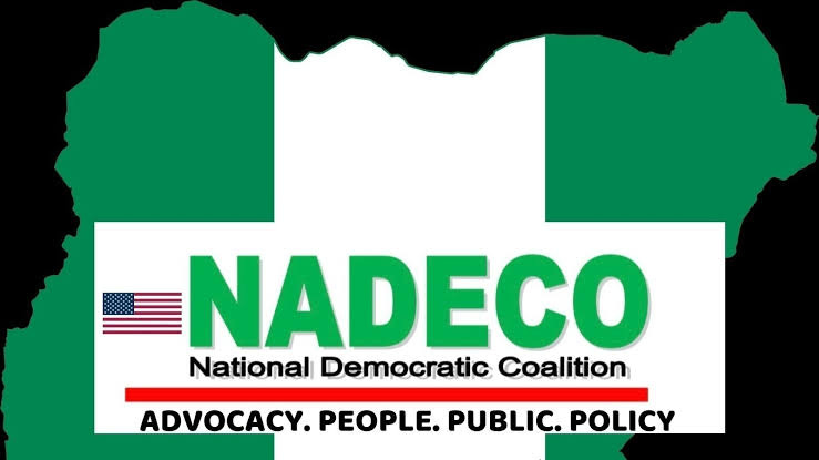 NADECO USA urges Rivers administrator to resign, calls for public rejection