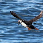 There's nothing in the UK