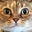 Barbara Mohs's avatar