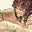 Michon's avatar