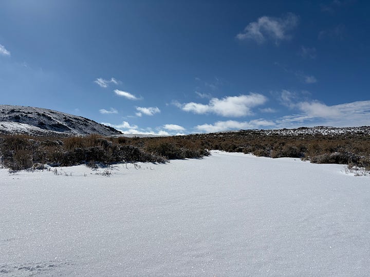 Images of the Red Desert after a spring snowstorm.