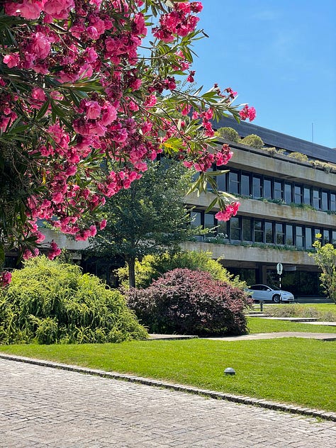Gulbenkian Art Library. July 2, 2026