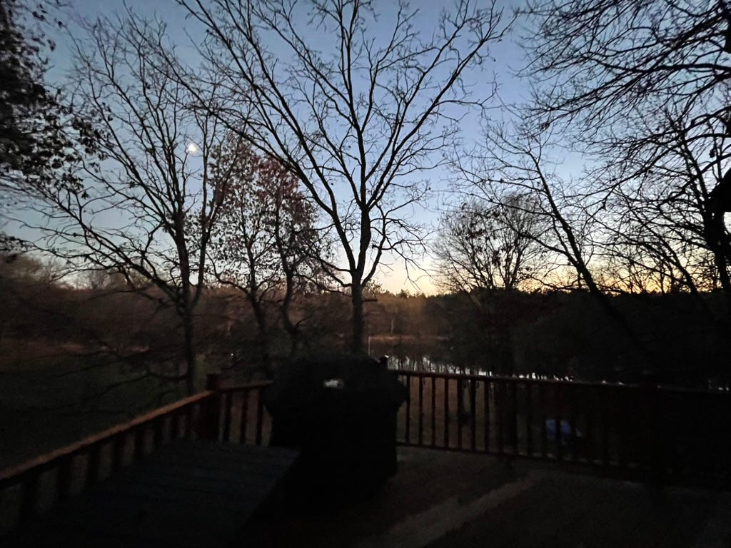 A deck with trees and a bench

Description automatically generated