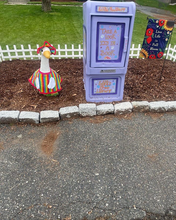 Edith's Little Free Library