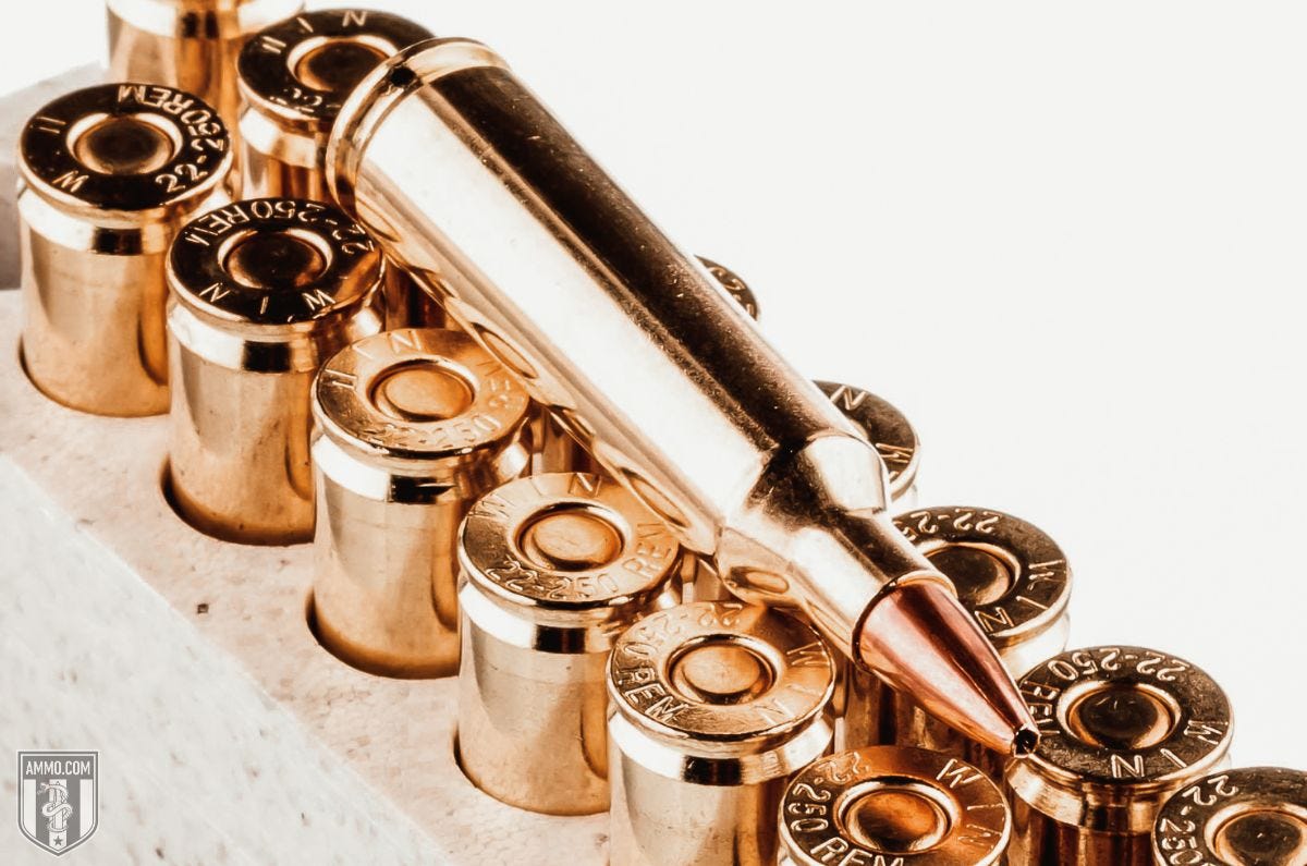22-250 ammo for sale