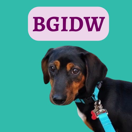 Black Girl in a Doggone World™