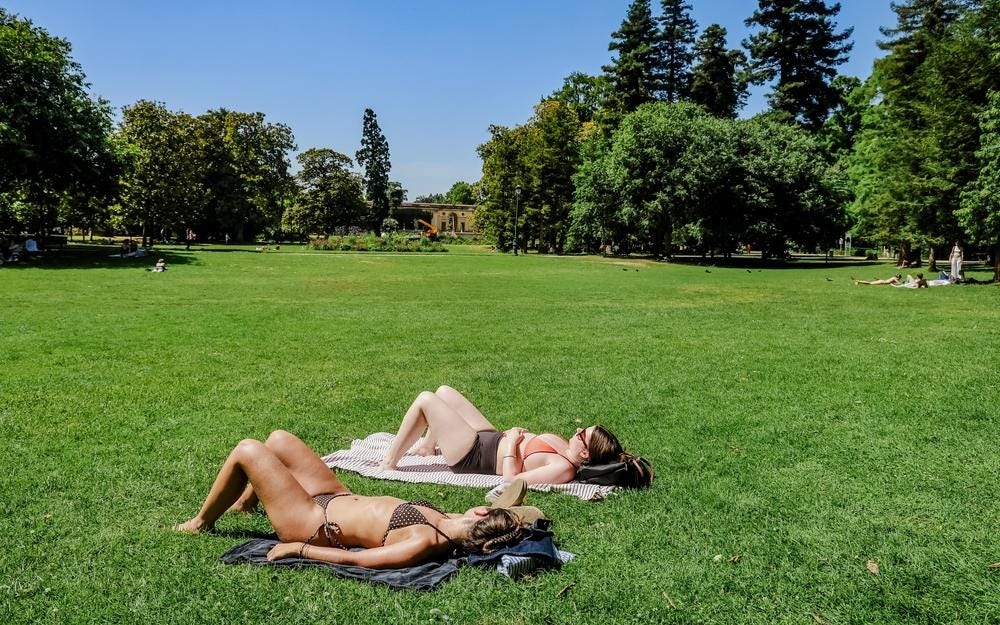 Two friends sunbathe in swimsuits on the central lawn of Bordeaux's Jardin public during a heatwave.