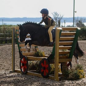 Glorious weather for Pre-Season Show at Knockagh View