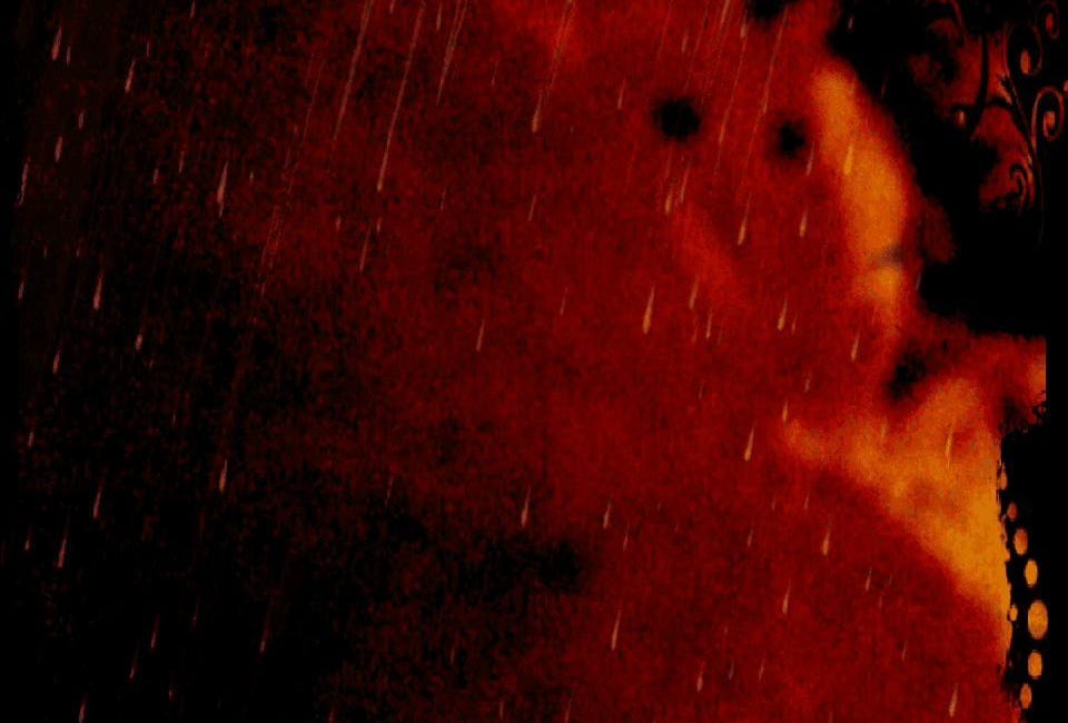 Why I Left the NFT World