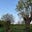 Ouse Valley's avatar
