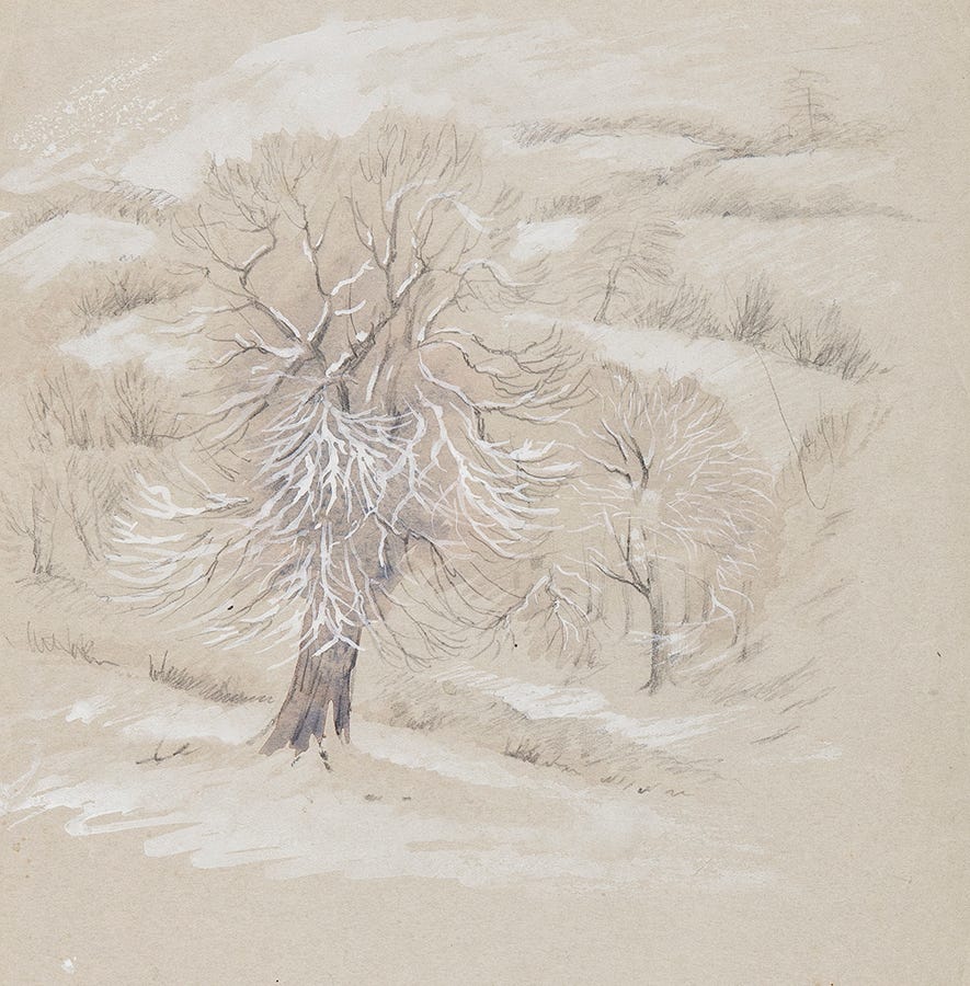 <b>20. Mildred ELDRIDGE R.W.S. (1909-1991)</b> Winter tree, ‘Manafon’, Montgomeryshire. Pencil, watercolour and gouache. Signed, and indistinctly, and dated, 1947. 10x8 inches.