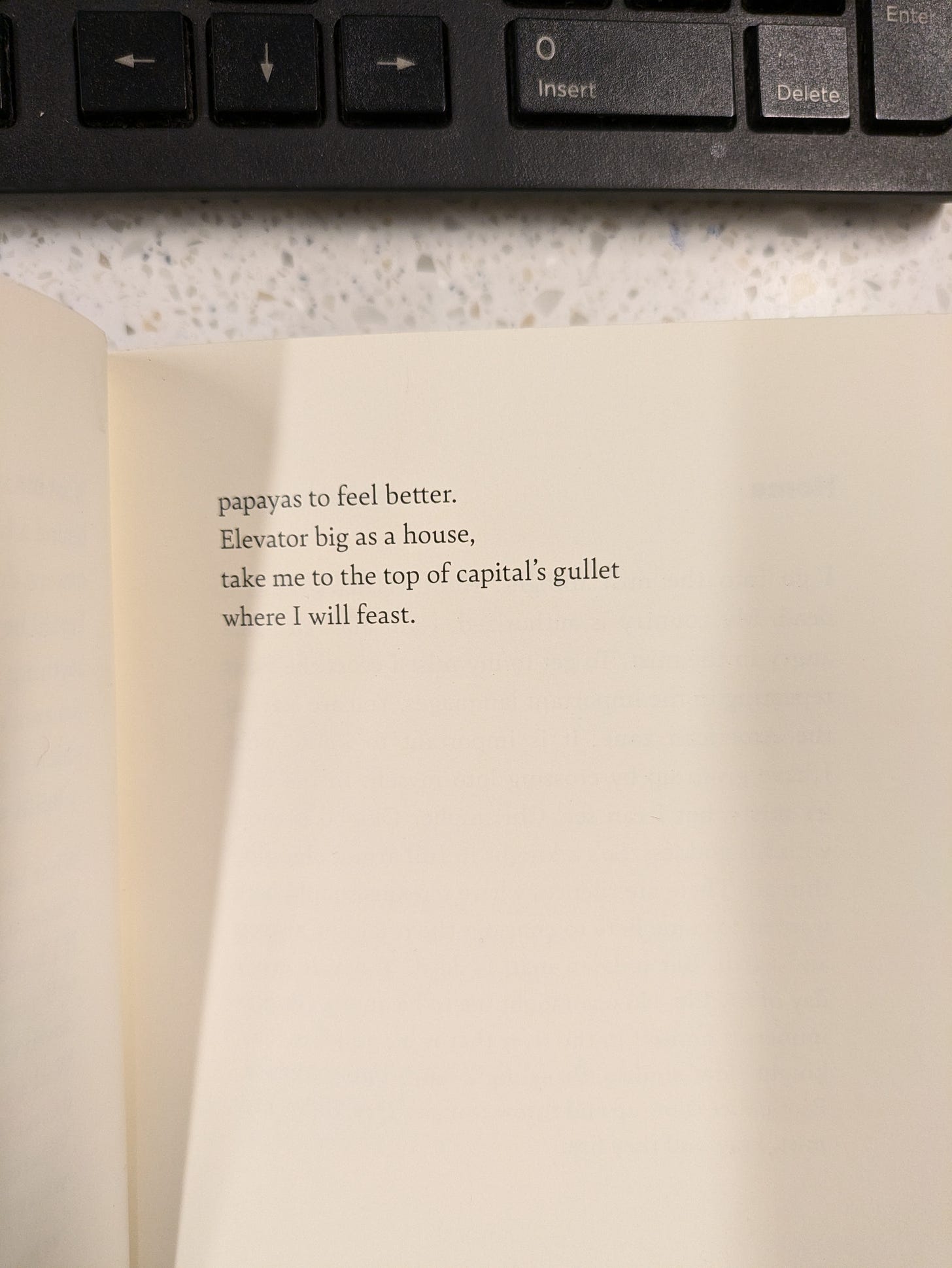 Poem text, continued: "...papayas to feel better. / Elevator big as a house, / take me to the top of capital's gullet / where I will feast."