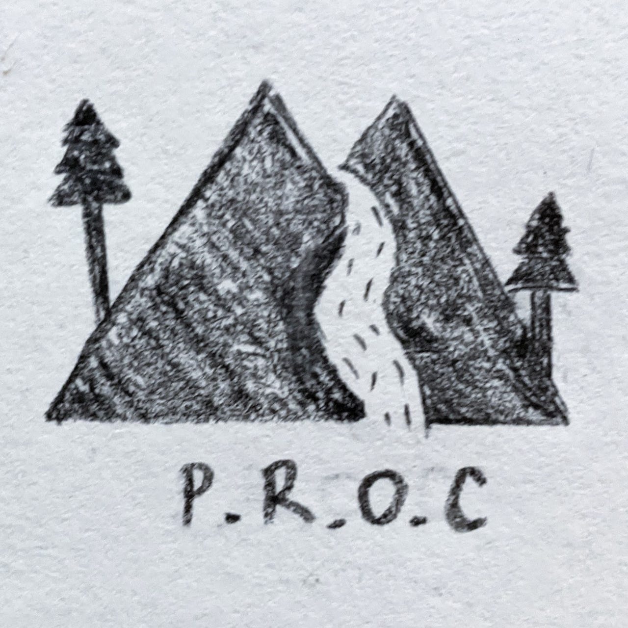 Substack profile picture for @proc