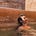 Kerrie Levy's avatar