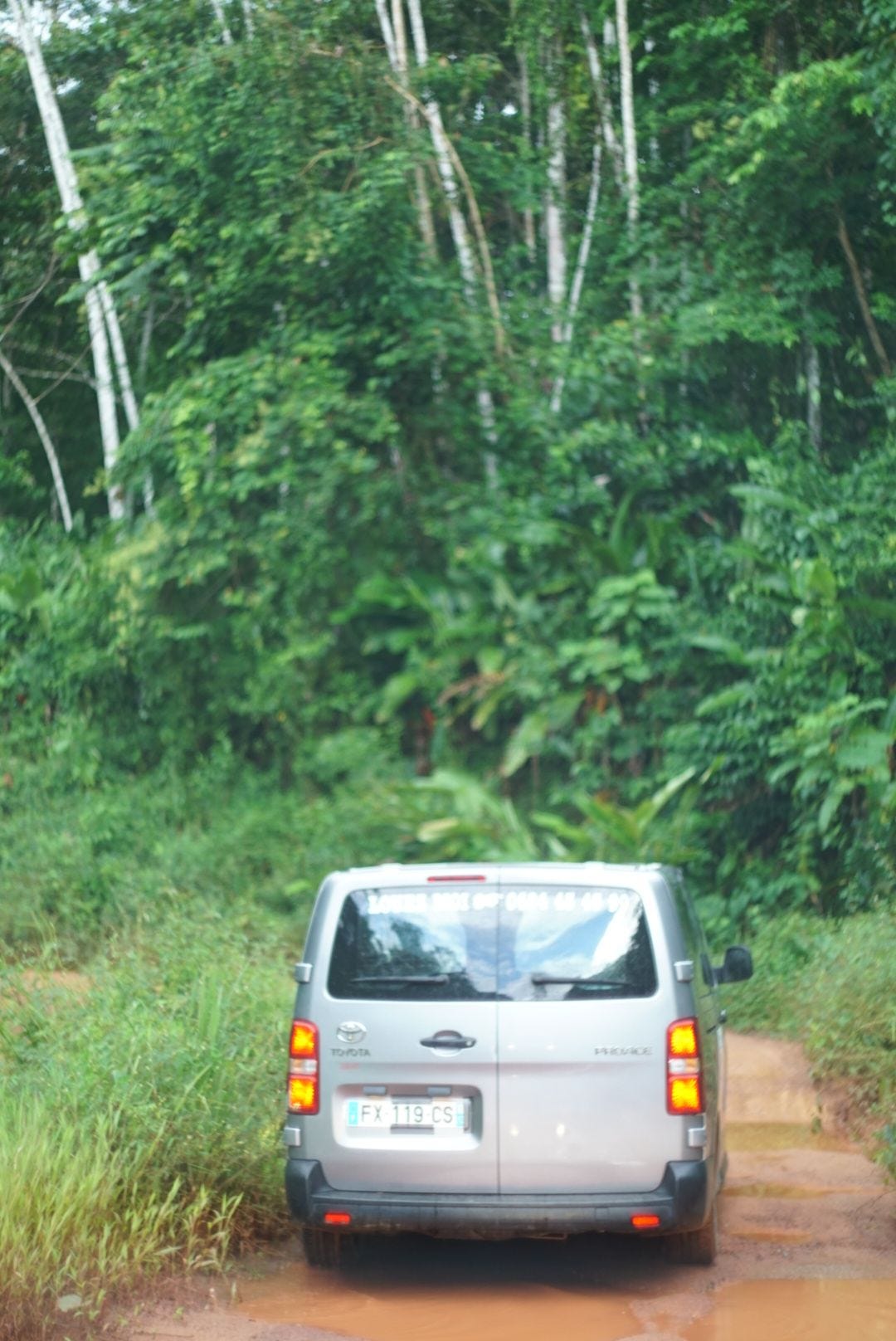 Sortir de la jungle Sortir de la jungle