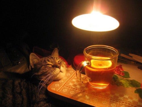 wahbegan:
“markv5:
“Планы на вечер….
”
“Plans for the evening” ”