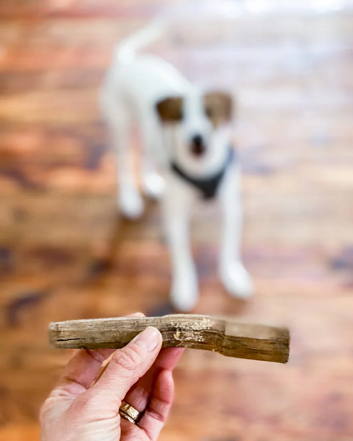 A Trunnel, a tree nail with Pearl in the background and Roman Numeral Marriage marks shown in the beams.
