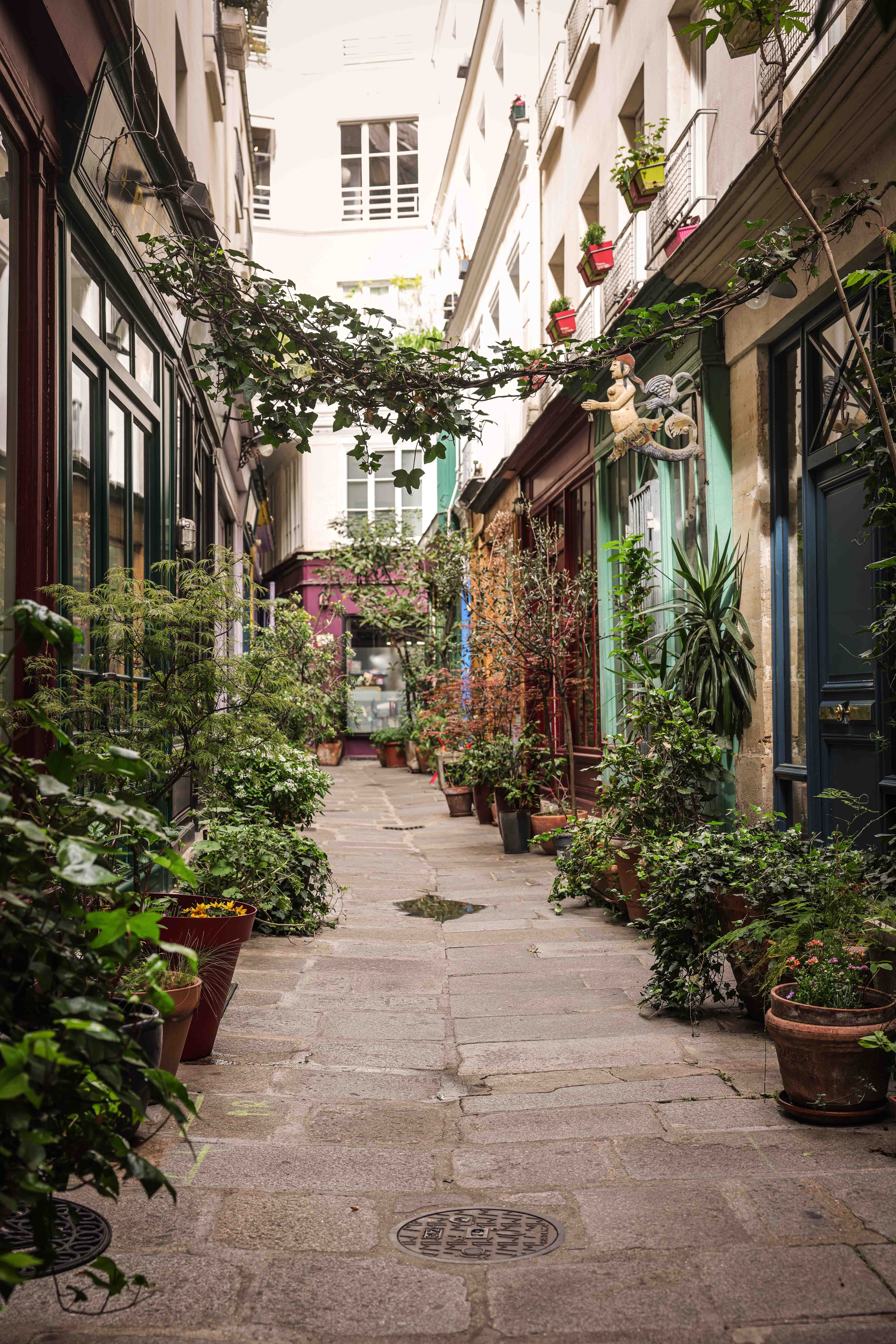 Anchored Silence: A Morning in Paris’s Oldest Secret Garden