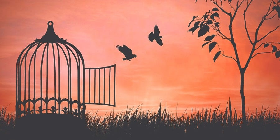 Reflections on Freedom - Surviving Church Reflections on Freedom - Surviving Church
