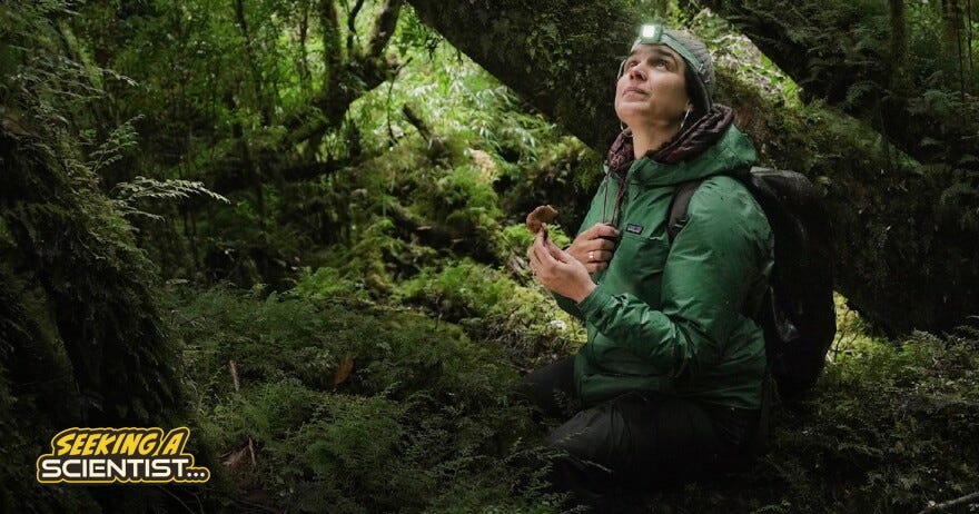  Giuliana Furci of the Fungi Foundation in Melimoyu, Chile.