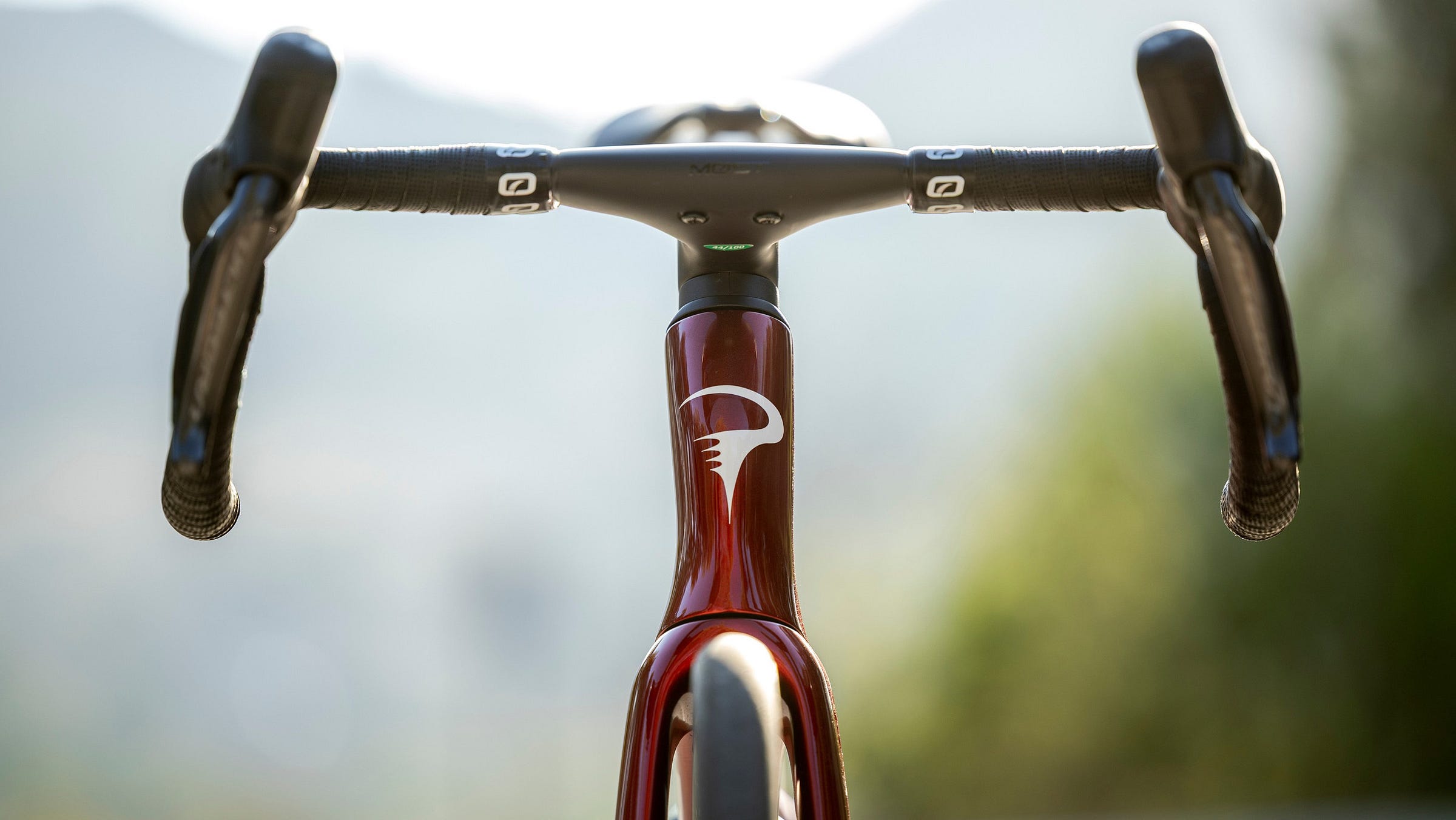 Pinarello F-Series head tube