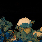 RNA structure prediction is hard. How much does that matter? 