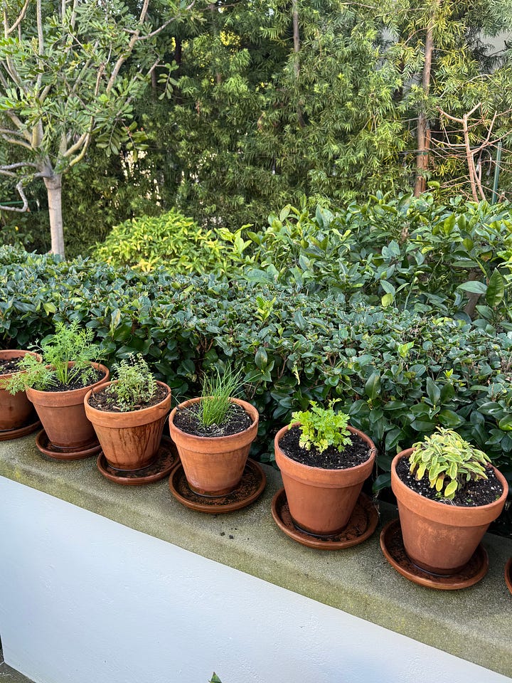 Why Confidence Matters More Than “Green Thumb”