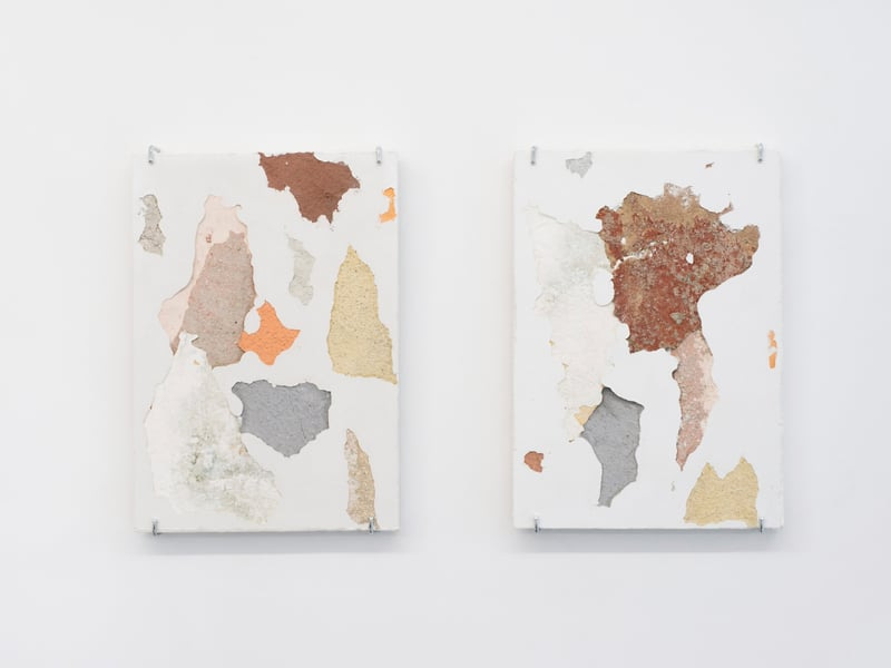 Continent 3 - Manoela Medeiros