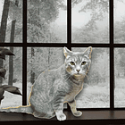 How To Make Your Own Bloody Mary Bar! Tabs, Fri., Dec. 29, 2023