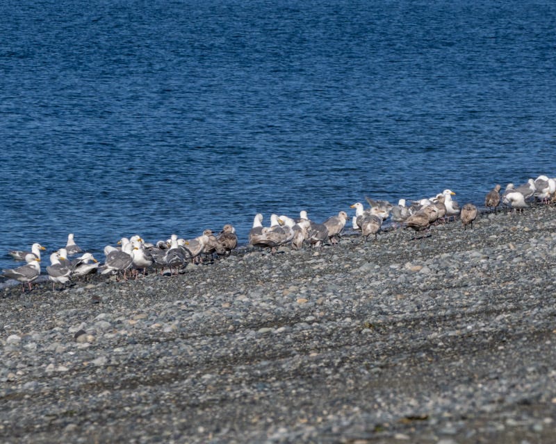 20250610-SJI3-414-Edit.jpg 20250610-SJI3-414-Edit.jpg