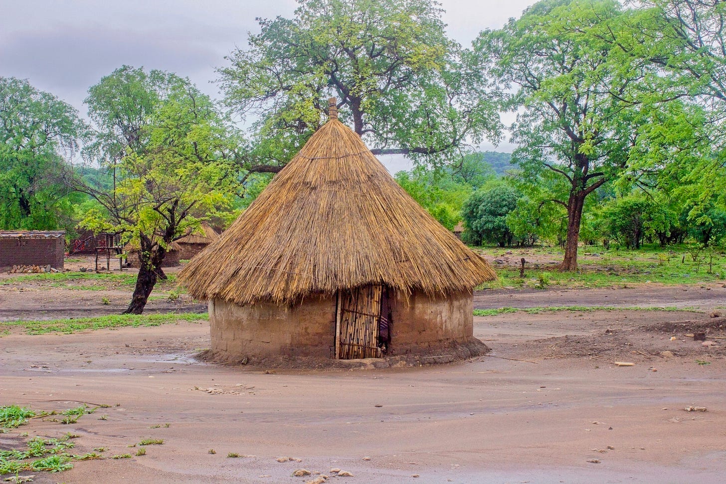 Grass hut