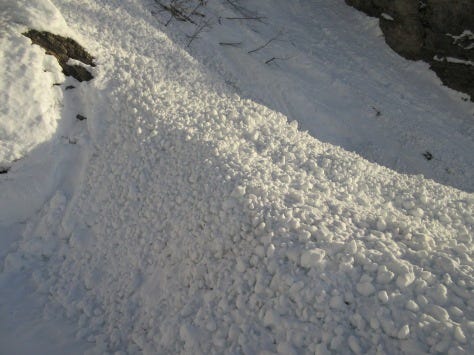 IMG_2647 IMG_2647
