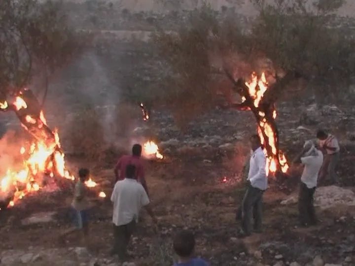 Watch 5 BROKEN CAMERAS Online | Vimeo On Demand on Vimeo
