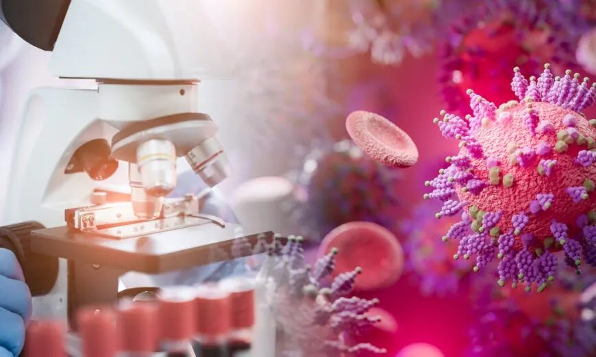 (Fit Ztudio/Shutterstock) (Fit Ztudio/Shutterstock)