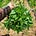 Farmer Rox Writes's avatar