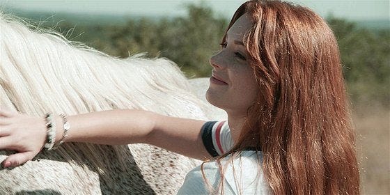 Walker STella rubbing off horse standing in road. Walker STella rubbing off horse standing in road.