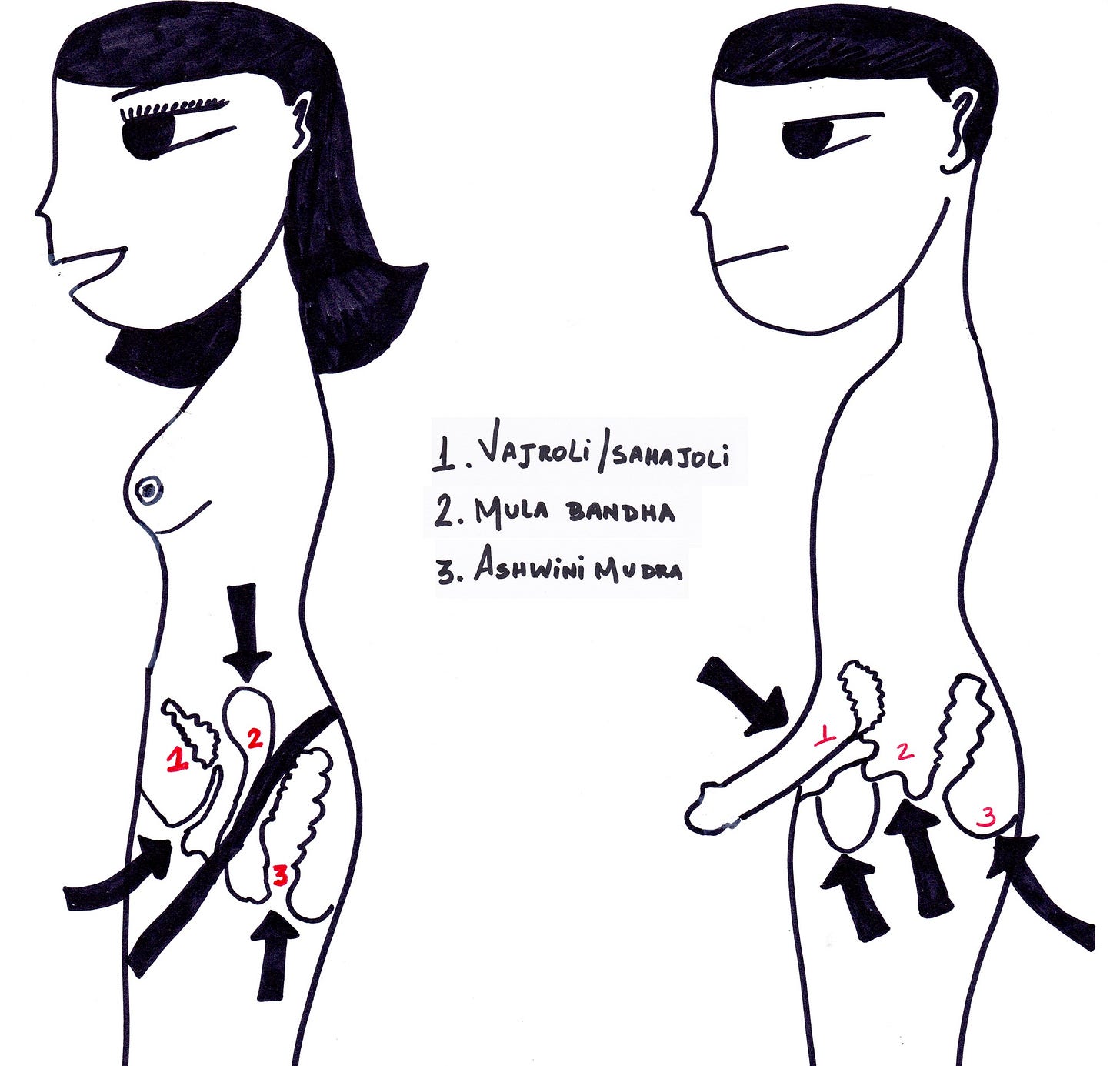 Andhakaara path logo for tantric semen retention teachings