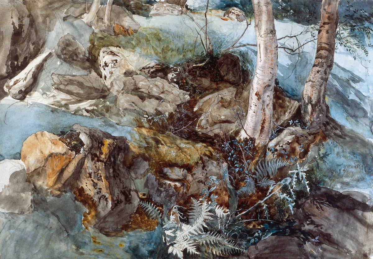 Rocks and Ferns in a Wood at Crossmount, Perthshire - John Ruskin — Google  Arts & Culture Rocks and Ferns in a Wood at Crossmount, Perthshire - John Ruskin — Google  Arts & Culture