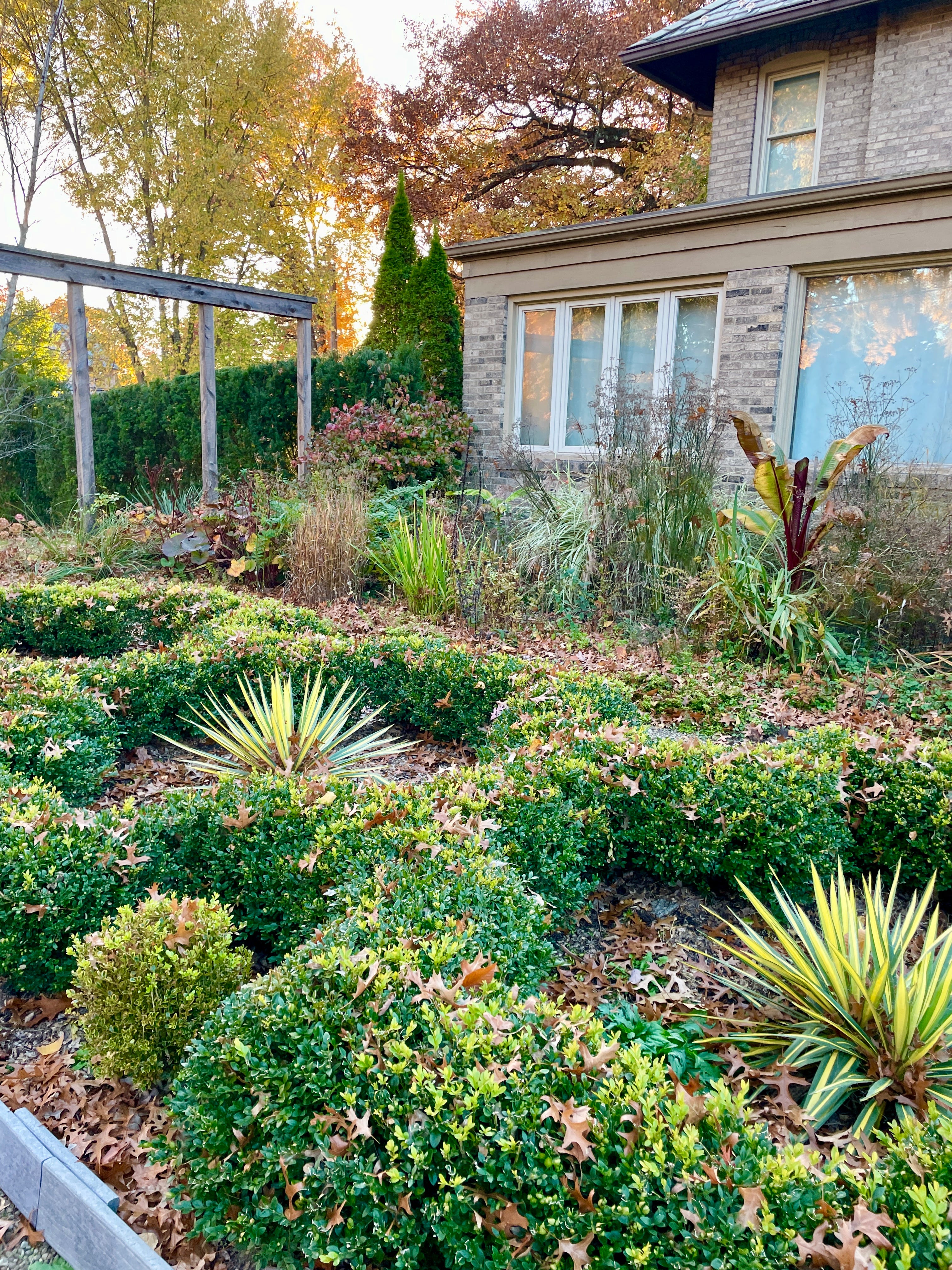 The Hot Border - Julie Witmer Gardens Newsletter
