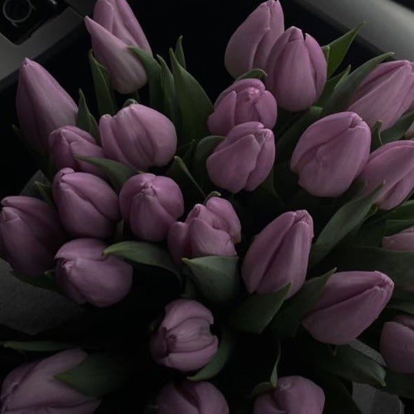 Oyi_za\ud83d\udda4✨