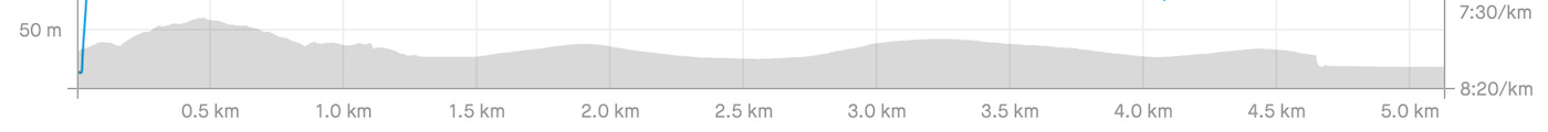 Conyngham Hall parkrun elevation profile map