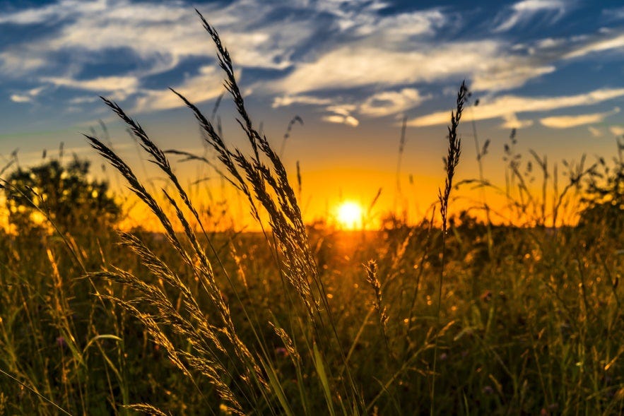 Ultimate Guide to Sunrise Photography | Iceland Photo Tours