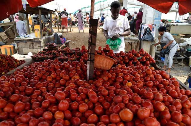 A tomato vendor stands by ware at a market A tomato vendor stands by ware at a market