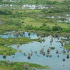 At least you can park by the water...