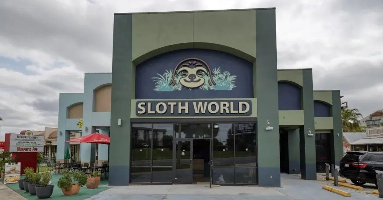 Florida records confirm at least 31 sloths died before Orlando's Sloth  World opened