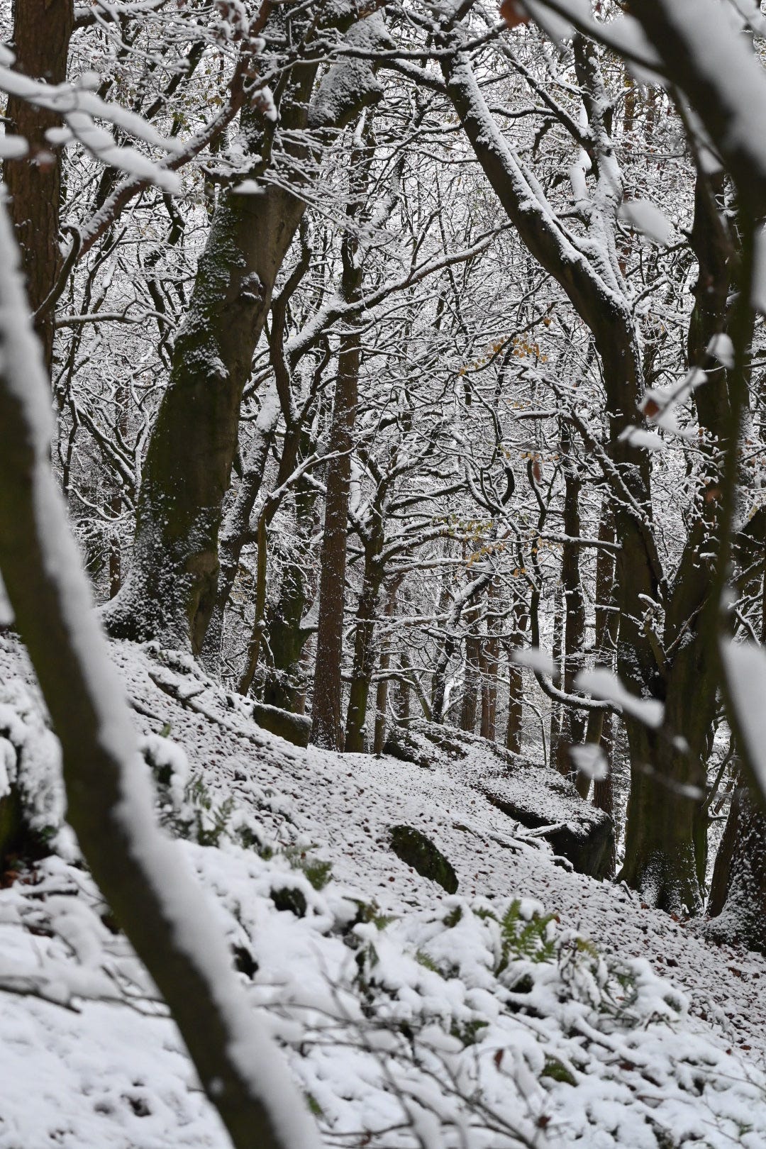 hardcastle crags in the snow