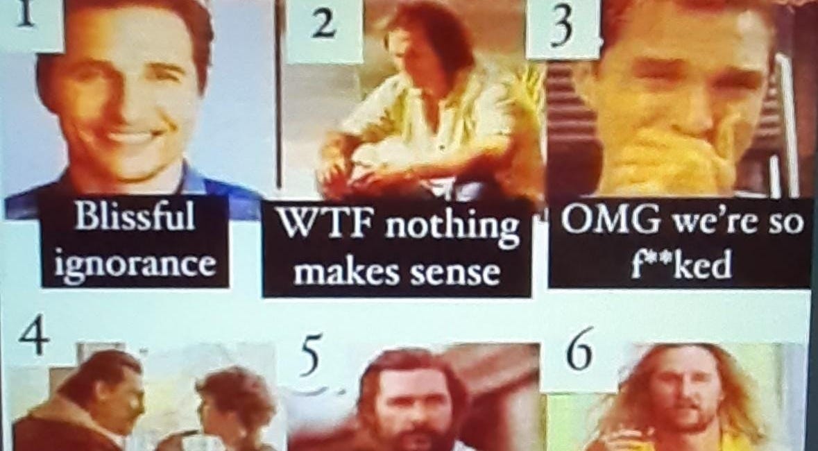 POLL: Three years into it, what stage of the awakening are you in? 